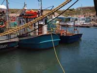 Fishing Vessels resting before leaving for their next catch