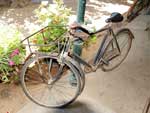 Old Bicycle