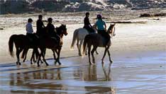 On horse back along Hout Bay beach