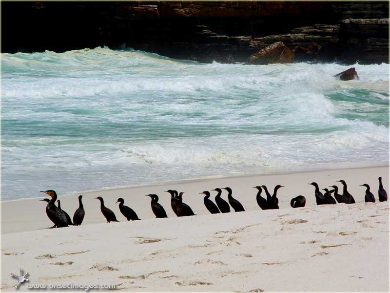 Cape of Good Hope