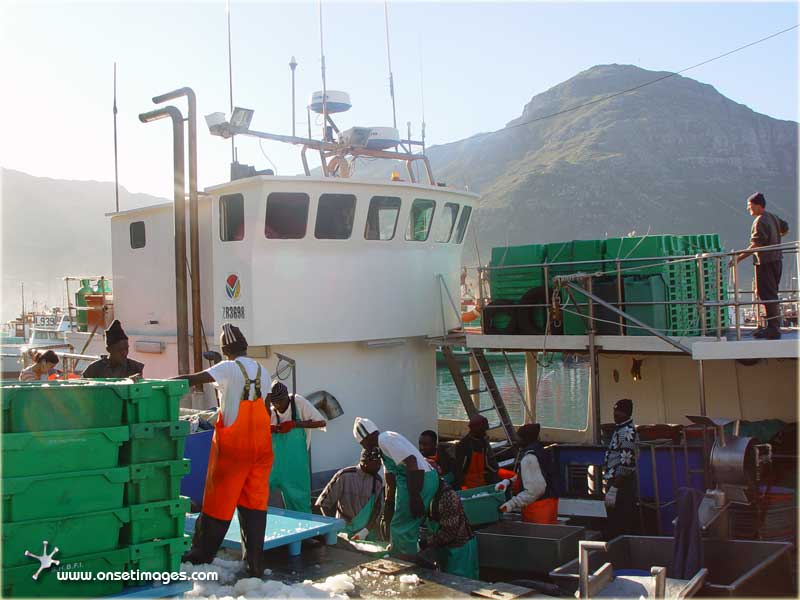 Hake offloading procedure, Ref: Hake_7716d 